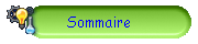Sommaire