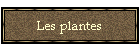 Les plantes